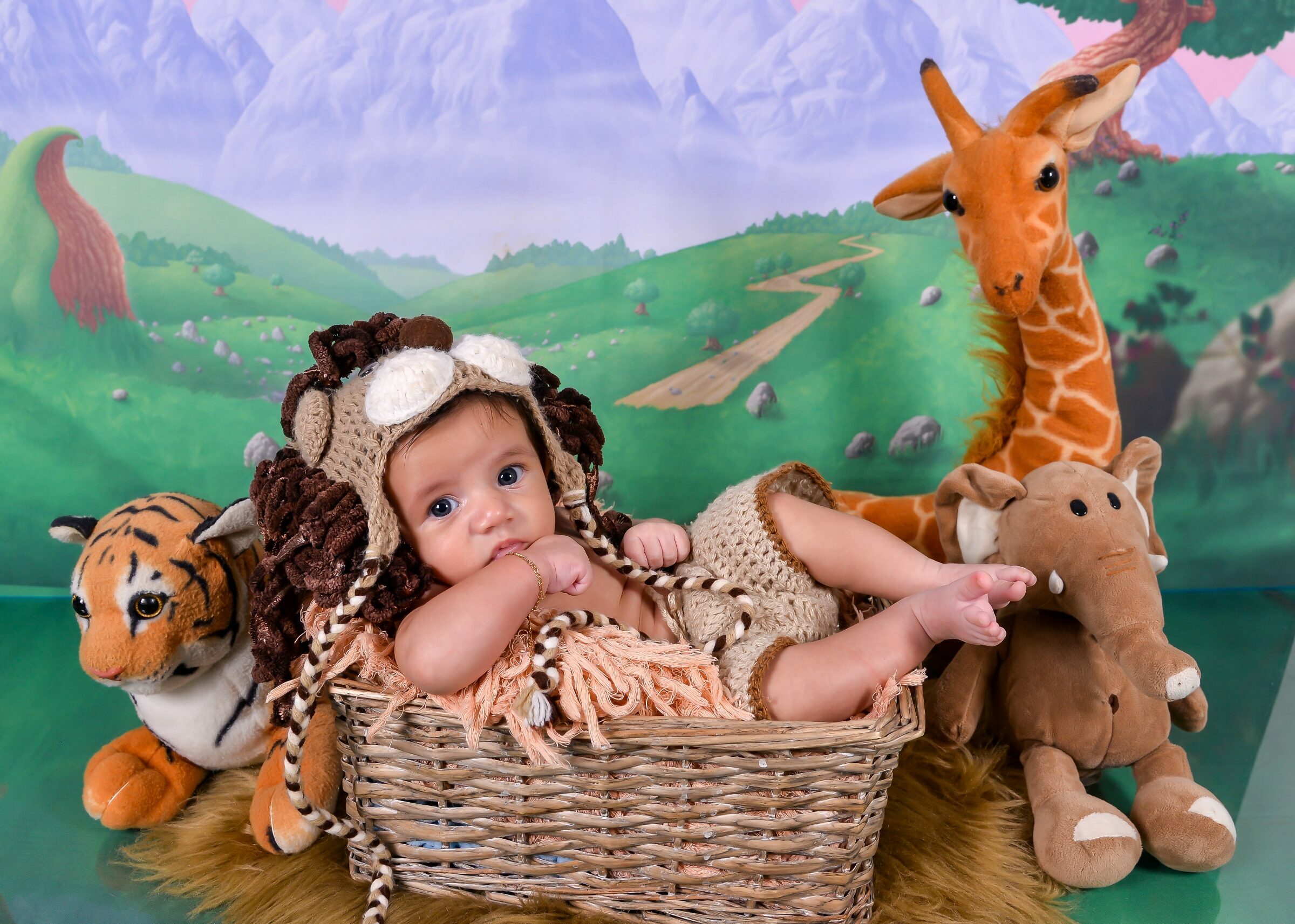 Foto de Fotolook Fotografias 9