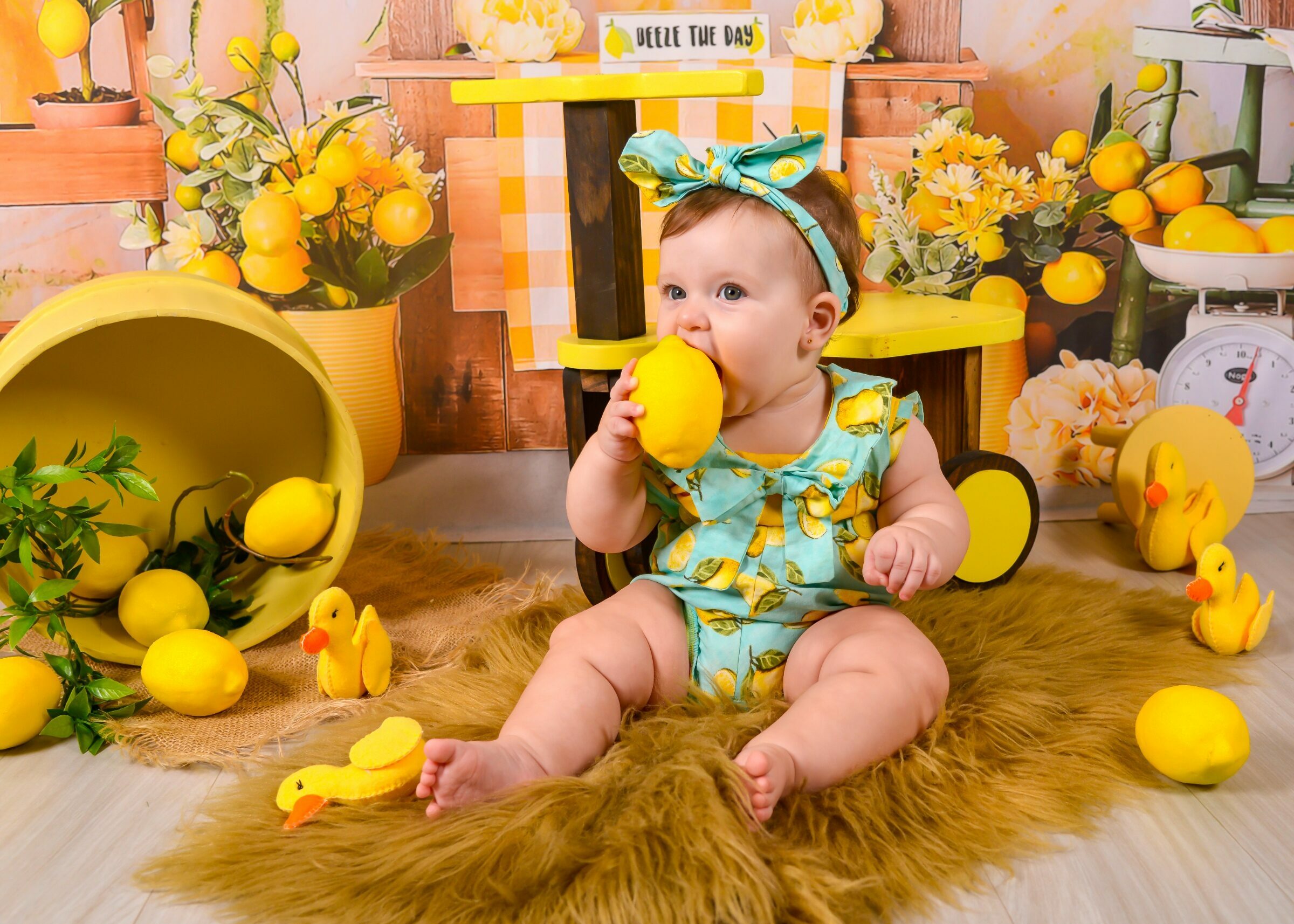 Foto de Fotolook Fotografias 12