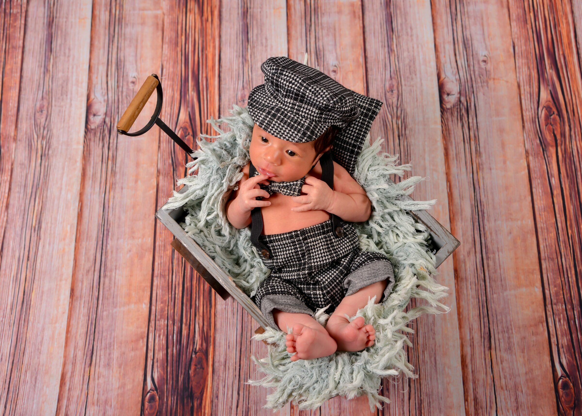 Foto de Fotolook Fotografias 19