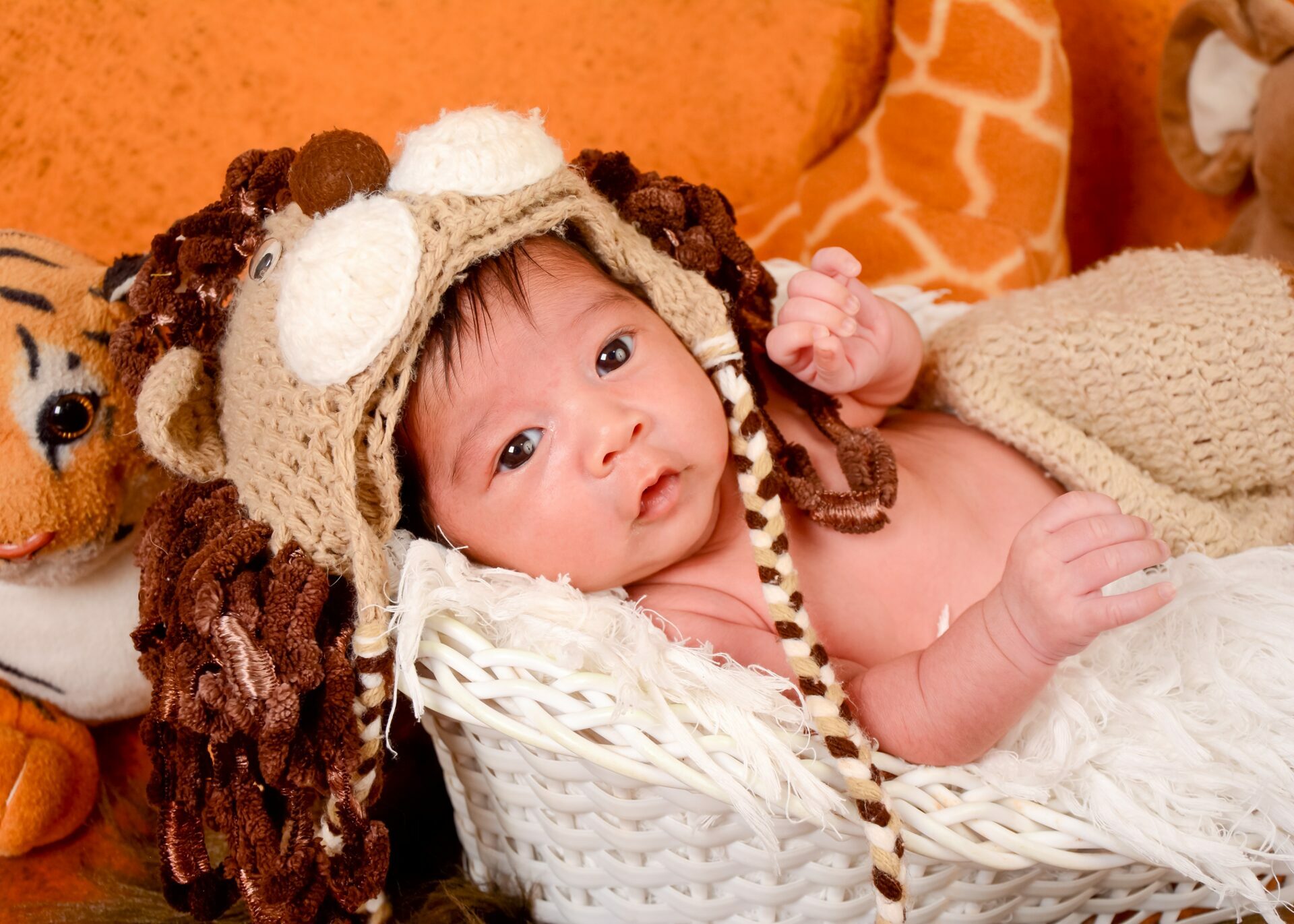 entrega 15 maio-quinta 2025 