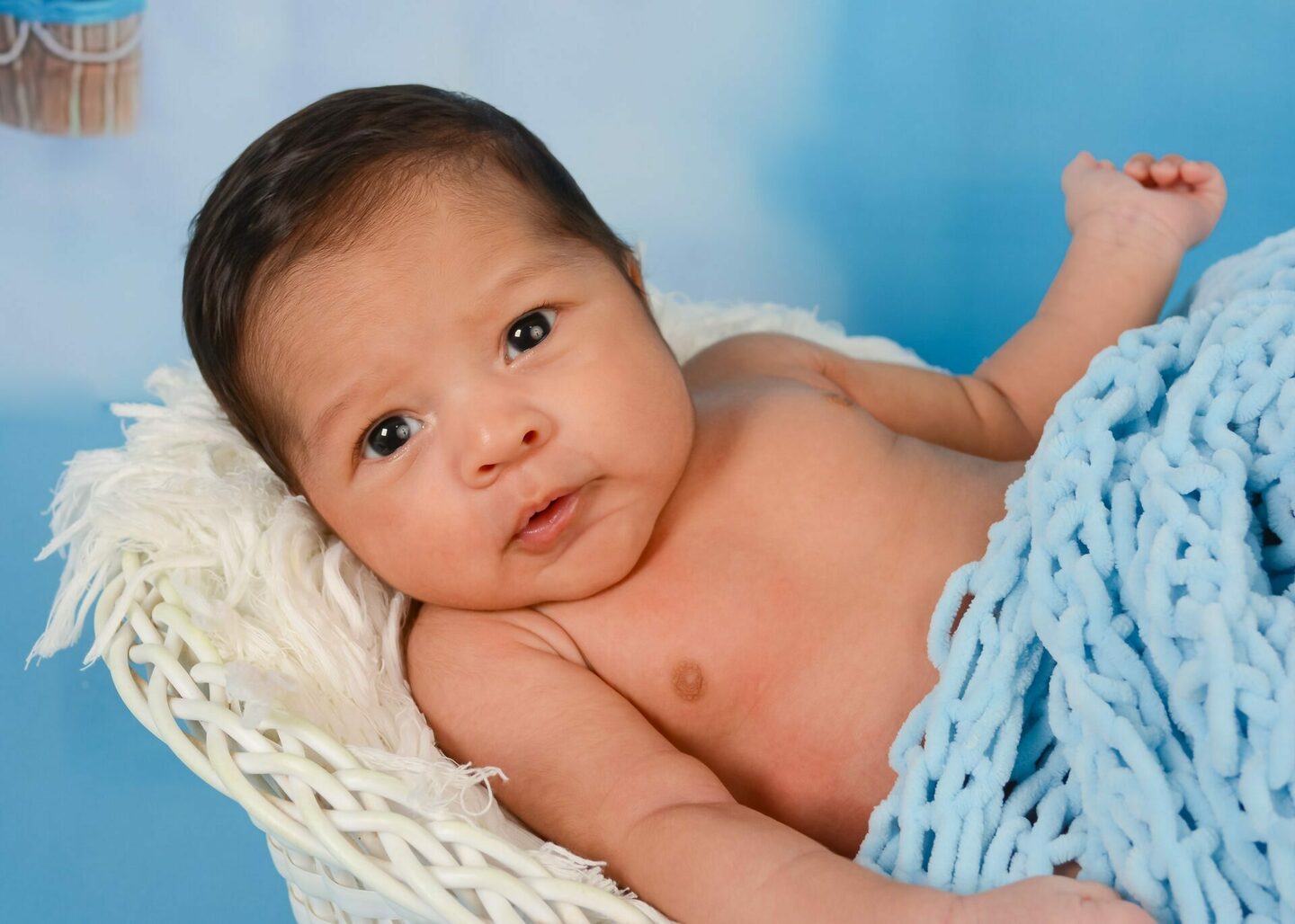 26 fevereiro BAIXE AQUI